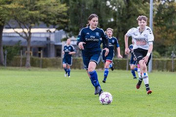 Bild 49 - B-Juniorinnen SV Henstedt Ulzburg - Hamburger SV : Ergebnis: 2:3